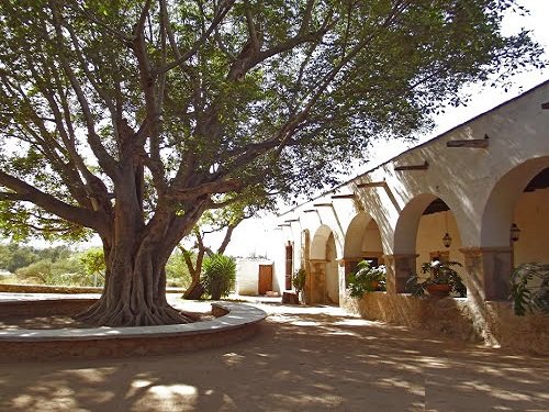 Paseo por Mexico - Pueblo Magico de Calvillo
