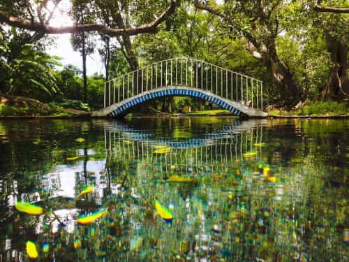 Paseo por Mexico Balneario la Higuera en Ahuacatlán