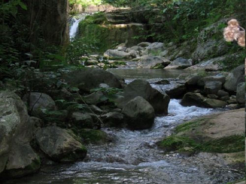 Paseo por Mexico Rios Xochiapulco