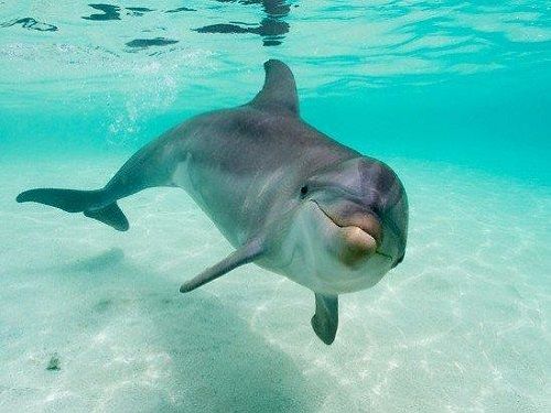 Paseo por Mexico - Pueblo Magico de Cozumel
